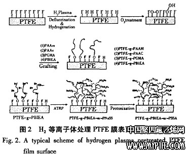 H2等离子体处理PTFE膜表面的典型图解