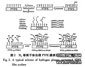 改性聚四氟乙烯密封效果研究