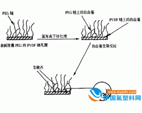 聚偏氟乙烯膜(PVDF)亲水性改善方法的